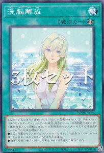 �y3���Z�b�g�z�V�Y�� WPP6-JP071 ���]��� (���{��� �m�[�}��) WORLD PREMIERE PACK 2025