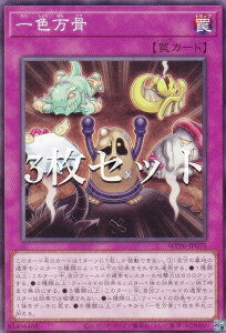 �y3���Z�b�g�z�V�Y�� WPP6-JP075 ��F���� (���{��� �m�[�}��) WORLD PREMIERE PACK 2025