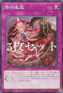 y3ZbgzVY CH01-JP035 Ǖ ({ m[}) THE CHRONICLES DECK|̕|