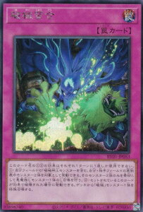 �V�Y�� RV01-JP053 �j�B�K�� (���{��� �V�[�N���b�g���A) REVOLUTION BOOSTER �|�g�D�[���E�E�B�b�`�N���t�g�E�j�B�|