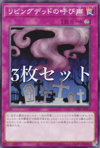 �y3���Z�b�g�z�V�Y�� WPP7-JP011 ���r���O�f�b�h�̌Ăѐ� (���{��� �m�[�}��) WORLD PREMIERE PACK 2026