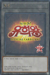 VY 15AY-JPTKNg[N (؍ EgA) ̋L|ssҁ|