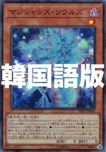 VY DP23-KR002 }WVYE\EY (؍ X[p[A) fGXgpbN |WFhfGXg6|