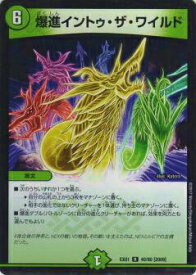 【プレイ用】デュエルマスターズ DMEX01 40/80[2009] 爆進イントゥ・ザ・ワイルド(レア)【中古】 DMEX-01 TCG ゴールデン・ベスト