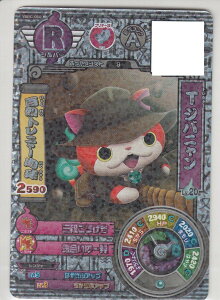 dEHb` oX^[Y SSR YBBC-050 TWoj gW[