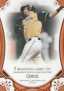 BBM2017 GENESIS WFlVX/004 A[h 30/60 IWpM[J[h/kC{nt@C^[YyViz