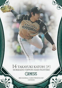 BBM2017 GENESIS WFlVX/001 MV 130/150 ΃pM[J[h/kC{nt@C^[YyViz