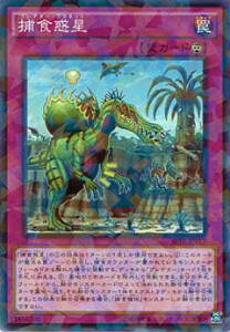 �V�Y�� SPFE-JP013 �ߐH�f��(���{��� �m�[�}���p������) �u�[�X�^�[SP�t���[�W�����E�G���t�H�[�T�[�Y