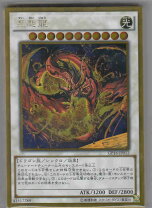 楽天市場】遊戯王 星態龍の通販