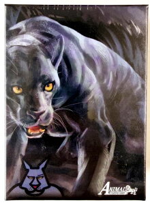 yfbL̔zAj}J[hQ[ ACG 2efbL qEfbL [u[g]