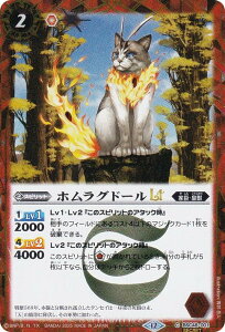 ySECRETzogXsbc BSC48-001 zOh[LT (C R) Aju[X^[ o[jOKV[