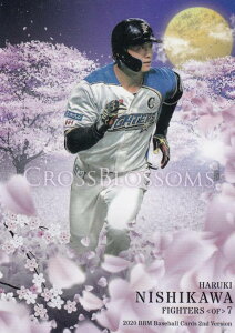 BBM 2020 CB50 yP kC{nt@C^[Y (M[J[h/CROSS BLOSSOMS) x[X{[J[h 2ndo[W