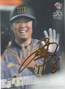 yTC 067/100zBBM 2020 493 @EP _^CK[X (M[J[h) x[X{[J[h 2ndo[W