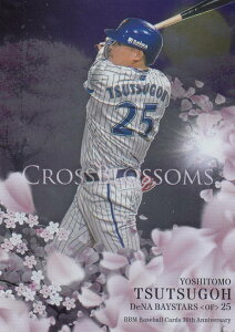 BBM 2020 CB23 Òq lDeNAxCX^[Y (CT[gJ[h/CROSS BLOSSOMS) 30th Anniversary