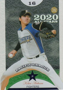 yz+݈ 02/25zBBM 2020 AS09 Lq kC{nt@C^[Y (CT[gJ[h/I[X^[) 30th Anniversary