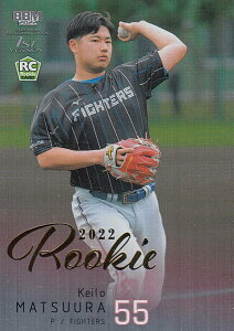 y[L[p⎆{ 014/100zBBM x[X{[J[h 295 Ycl kC{nt@C^[Y (M[J[h) 2022 1sto[W