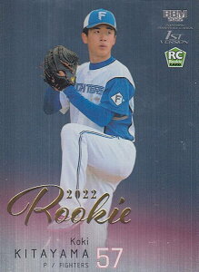 y[L[p⎆{ 062/100zBBM x[X{[J[h 296 kRj kC{nt@C^[Y (M[J[h) 2022 1sto[W