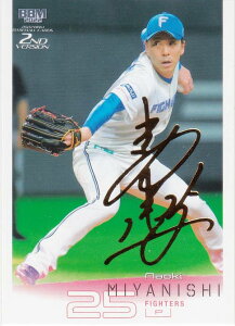 yTC 065/100zBBM x[X{[J[h 558 { kC{nt@C^[Y (M[J[h) 2022 2ndo[W