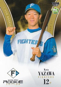 yʐ^ႢzBBM x[X{[J[h 060 VG/kC{nt@C^[Y (M[J[h) 2023 [L[GfBV