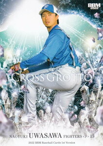 BBM x[X{[J[h CG31 򒼔V kC{nt@C^[Y (M[J[h/CROSS GROTTO) 2022 1sto[W