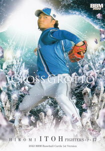 BBM x[X{[J[h CG32 ɓC kC{nt@C^[Y (M[J[h/CROSS GROTTO) 2022 1sto[W