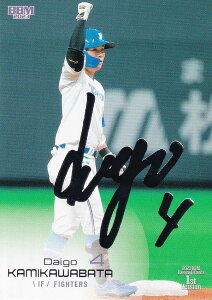 y┓TCzBBM x[X{[J[h 148 씨 kC{nt@C^[Y (M[J[h) 2023 1sto[W