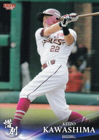 BBM ベースボールカード 05 川島慶三 (E) (レギュラーカード/プロ野球) 2023 スポーツカードセット 惜別