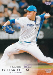 BBM x[X{[J[h 609 ͖엳 kC{nt@C^[Y (M[J[h/1st Abvf[g) FUSION 2023