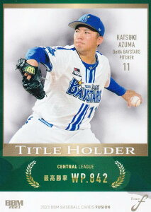 BBM x[X{[J[h TH16 @ lDeNAxCX^[Y (M[J[h/^Cgz_[) FUSION 2023