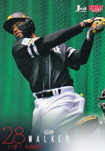 BBM x[X{[J[h 235 A.EH[J[ \tgoNz[NX (M[J[h) 2024 1sto[W