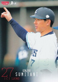 BBM ベースボールカード 282 炭谷銀仁朗 埼玉西武ライオンズ (レギュラーカード) 2024 1stバージョン
