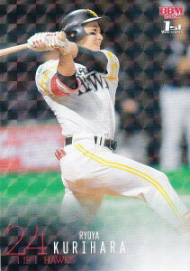 yLJ[hpzBBM x[X{[J[h 230 I˖ \tgoNz[NX (M[J[h) 2024 1sto[W