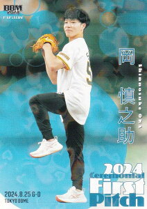 yzPP 133/300zBBM x[X{[J[h FP60 TV ̑ (M[J[h/nJ[h) 2024 FUSION