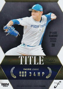 y⎆ 135/200zBBM x[X{[J[h TH22 ͖엳 kC{nt@C^[Y (M[J[h/^Cgz_[) 2024 FUSION