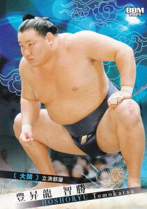 BBM 2025 告oJ[h 03 L q  (M[J[h)