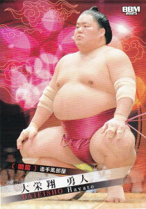 BBM 2025 告oJ[h 06 h El ֘e (M[J[h)