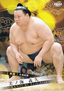 BBM 2025 告oJ[h 15 mC `v O (M[J[h)