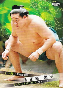 BBM 2025 告oJ[h 49 ʐP ݕ \ (M[J[h)