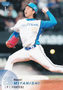 BBM x[X{[J[h 195 { kC{nt@C^[Y (M[J[h) 2025 1sto[W