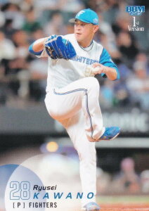 BBM x[X{[J[h 197 ͖엳 kC{nt@C^[Y (M[J[h) 2025 1sto[W