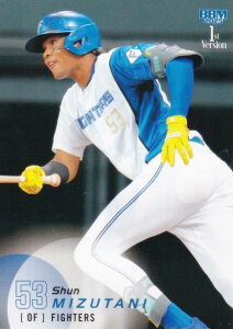 BBM x[X{[J[h 208 Ju kC{nt@C^[Y (M[J[h) 2025 1sto[W