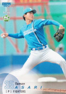 BBM x[X{[J[h 213 󗘑(ROOKIE) kC{nt@C^[Y (M[J[h) 2025 1sto[W