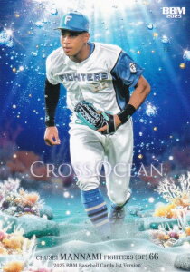 BBM x[X{[J[h CO24 g kC{nt@C^[Y (M[J[h/CROSS OCEAN) 2025 1sto[W