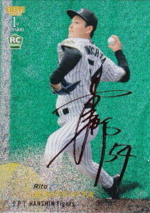 ybhTC 22/25zBBM x[X{[J[h 052 ؉s(ROOKIE) _^CK[X (M[J[h) 2025 1sto[W