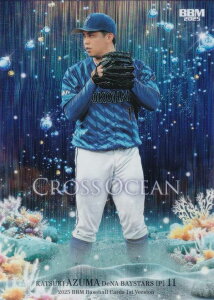 yz 037/100zBBM x[X{[J[h CO07  lDeNAxCX^[Y (M[J[h/CROSS OCEAN) 2025 1sto[W