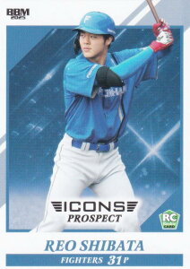 BBM x[X{[J[h 23 ēcq(ROOKIE) kC{nt@C^[Y (M[J[h) 2025 ICONS PROSPECT