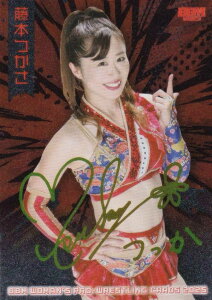 yLpŁzBBM qvXJ[h 110 { (M[J[h/I) 2025