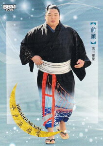 BBM 2025 告oJ[h 18 ˊC YM O (M[J[h) uav-NAGOMI-