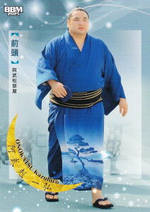 BBM 2025 告oJ[h 31  O O (M[J[h) uav-NAGOMI-