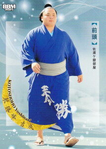 BBM 2025 告oJ[h 39 Տ g O (M[J[h) uav-NAGOMI-